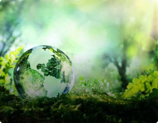 Environmental Compliance Services